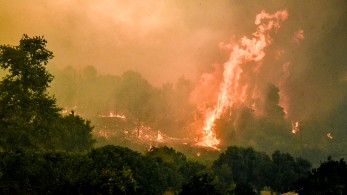 Ολονύχτια μάχη με τις φλόγες: στο μέτωπο της Ηλείας η φωτιά έχει αναπτύξει «μεγάλη δυναμική»