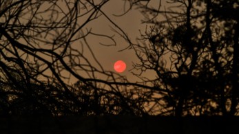 Δήμαρχος Πύργου: Προϊόν εμπρησμού οι φωτιές στην Ηλεία