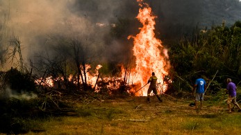 Χωρίς ενεργό μέτωπο η φωτιά στην Ηλεία