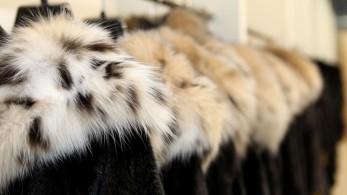 Οι καστοριανές γούνες ζεσταίνουν την Νότια Κορέα