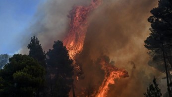 Φωτιά σε δασική έκταση στη Λούτσα