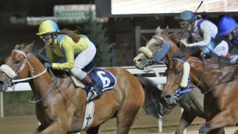 Markopoulo Park: Νίκες γένους θηλυκού και τζακ ποτ στο Σκορ 6