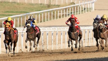 Markopoulo Park: Δεύτερο συνεχόμενο τζακ ποτ στο ΣΚΟΡ 6 (vid)
