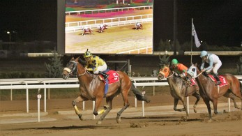 Markopoulo Park: Τέσσερα ΣΚΟΡ και δέκα ιπποδρομίες στη συγκέντρωση της Δευτέρας