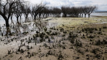 Γιώργος Κωτσός στο «Μανιφέστο»: Εναν χρόνο μετά τον Daniel - Δεν θα ξεχάσω ποτέ τη μεγαλοψυχία του καρδιτσιώτικου λαού