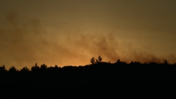 Φωτιά στην Εύβοια: νύχτα αγωνίας, άνιση μάχη με τις φλόγες και τους ισχυρούς ανέμους (Vid)