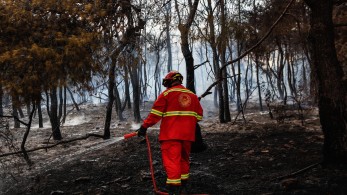 Τέσσερις προσαγωγές για τη φωτιά στα Γλυκά Νερά