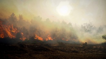 Υπουργείο Πολιτικής Προστασίας: εκτάκτως στην Κεντρική Εύβοια ο Βασίλης Κικίλιας