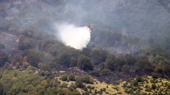 Πυρκαγιά σε δασική έκταση κοντά στο Βαρικό Φλώρινας