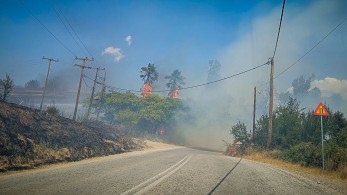 Μάχη με τις φλόγες στην Εύβοια: η φωτιά κατευθύνεται προς Ερέτρια - Συνεχή μηνύματα από το 112