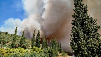 Φωτιά στα Χανιά: εκκενώνονται σπίτια και ξενοδοχεία στον Πλατανιά - Νέο 112