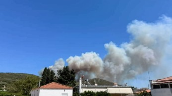 Συνελήφθησαν 2 νεαροί για την φωτιά στην Άνω Γλυφάδα