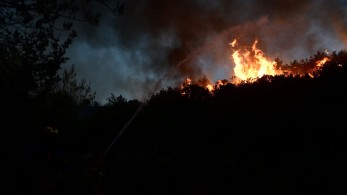 Φωτιά στην Κω: εκκενώνονται σπίτια και ξενοδοχεία στην Καρδάμαινα - Δύσκολη κατάσταση και στη Χίο