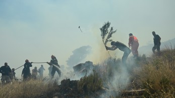 Φωτιά στο Δίστομο Βοιωτίας: επιχειρούν εναέρια μέσα