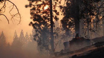 Park Fire: εκατοντάδες χιλιόμετρα δασών έγιναν στάχτη στην Καλιφόρνια - Ανεξέλεγκτη η πυρκαγιά