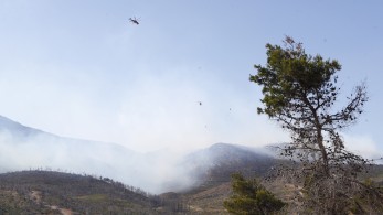 Βασίλης Κικίλιας: Χωρίς ενεργό μέτωπο η φωτιά της Πάρνηθας - Εντοπίστηκε από drones της Πυροσβεστικής