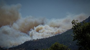 Εκπρόσωπος Τύπου Πυροσβεστικής: Η σημερινή ημέρα είναι η δυσκολότερη που αντιμετωπίζει το Πυροσβεστικό Σώμα τη φετινή αντιπυρική περίοδο