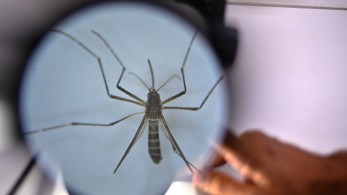 Oropouche: «στο κόκκινο» η Λατινική Αμερική από την έξαρση του Ιού Oropouche: «στο κόκκινο» η Λατινική Αμερική από την έξαρση του Ιού