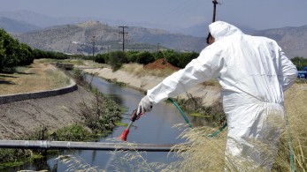 Ιός Δυτικού Νείλου: 12 θάνατοι από τις αρχές του έτους - Πού καταγράφονται κρούσματα