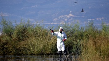 ΕΟΔΥ: προφυλαχθείτε από τα κουνούπια και τον ιό του Δυτικού Νείλου