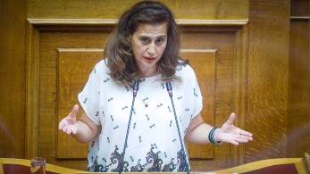 Χαρά Κεφαλίδου: το καυστικό σχόλιο για την παράνομη πισίνα του Κασσελάκη