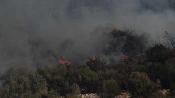 Σε πύρινο κλοιό η Αττική: σε Γραμματικό, Πεντέλη και Ανατολή Νέας Μάκρης τα κύρια μέτωπα