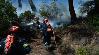 Φωτιά σε δύσβατη περιοχή στην Καρυά Ολύμπου