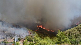 Πύρινα μέτωπα σε Καλλιτεχνούπολη και Γραμματικό - Κικίλιας: Άμεση η αντίδραση στην αρχική εστία στον Βαρνάβα