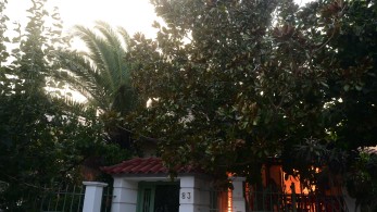 Στις φλόγες τυλίχθηκαν 2 Πυροσβεστικά οχήματα στο Νέο Βουτζά