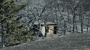 Ετήσια οδυνηρή ρουτίνα