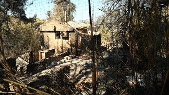 Φωτιά στην Αττική: ξεκίνησε η υποβολή αιτήσεων για κρατική αρωγή στους πυρόπληκτους