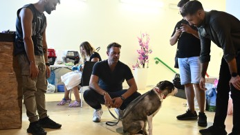 Ο... υπεράνω Κασσελάκης