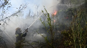 Τα μέτρα του υπουργείου Υγείας μετά τις συνεχιζόμενες πυρκαγιές στην Αττική