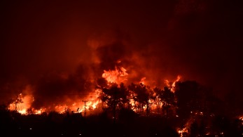 Η Περιφέρεια Αττικής άνοιξε το ΟΑΚΑ για τους κατοίκους των πυρόπληκτων περιοχών που εκκενώθηκαν