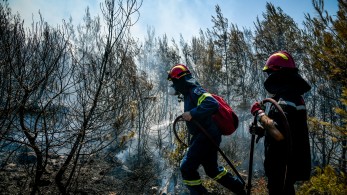Βασίλης Βαθρακογιάννης: H φωτιά στον Βαρνάβα εξελίσσεται προς τη λίμνη του Μαραθώνα - Οι φλόγες ξεπερνούν τα 25 μέτρα