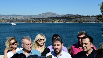 Γκρίνια στο ΠΑΣΟΚ για τα «φάουλ» του Ανδρουλάκη στο θέμα των πυρκαγιών