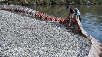Βόλος: τα μέτρα στήριξης για τις επιχειρήσεις - Σε κατάσταση έκτακτης ανάγκης η περιοχή