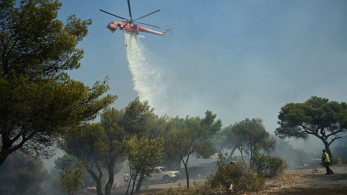 Πυροσβεστικά αεροσκάφη στέλνει η Τουρκία - Επικοινωνία Γεραπετρίτη με Φιντάν