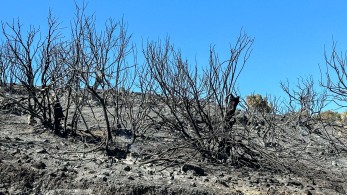 Χωρίς ενεργό μέτωπο η φωτιά στο Ρέθυμνο