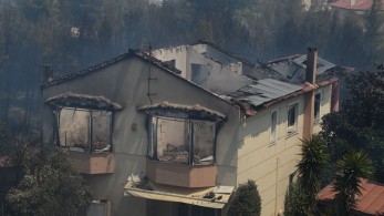 Δέκα προσαγωγές και μία σύλληψη για πλιάτσικο στις πυρόπληκτες περιοχές
