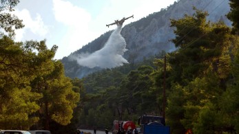 Bloomberg: παρά τον διπλάσιο αριθμό πυρκαγιών φέτος, η Ελλάδα τα πήγε εξαιρετικά