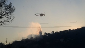 Πυρκαγιά κοντά σε σπίτια στο Αλιβέρι – Γίνονται εκκενώσεις – Ενισχυμένες οι δυνάμεις της Πυροσβεστικής