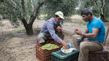 Ζητούνται επειγόντως εργάτες γης