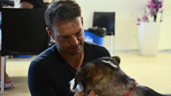 Ο ινφλουένσερ πρόεδρος του ΣΥΡΙΖΑ: σόου Κασσελάκη με σκυλιά, γατιά και… φωτογράφηση