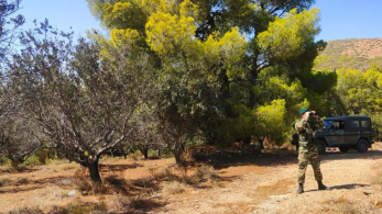 Επί ποδός οι Ένοπλες Δυνάμεις για τη δασοπροστασία