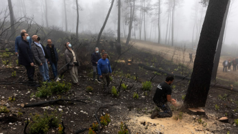 Υπουργείο Περιβάλλοντος: διευκρινίσεις για τα έργα αποκατάστασης και αναδάσωσης στη βόρεια Εύβοια