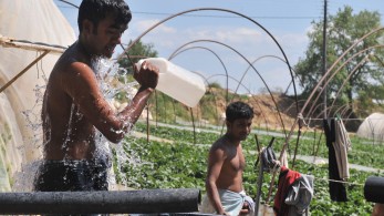Εργάτες-σκλάβοι στα χωράφια της Βοιωτίας