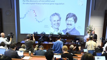 Νόμπελ Ιατρικής για την ανακάλυψη του microRNA