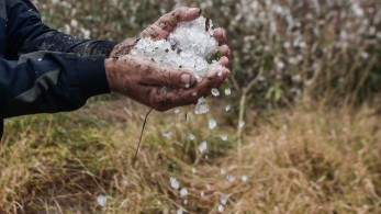 ΕΛΓΑ: παράταση έως 4 Οκτωβρίου για τον διαγωνισμό του προγράμματος χαλαζιακής προστασίας