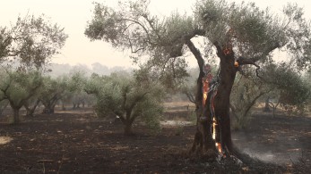 Τα τέσσερα μέτρα για τη στήριξη και την ανάπτυξη του Έβρου